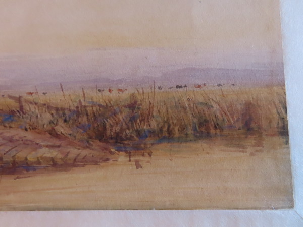 FDA-D.1695-2023-H image FDA-D.1695-2023-H