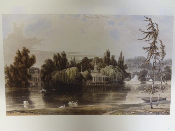 FDA-E.2767-2016 image FDA-E.2767-2016