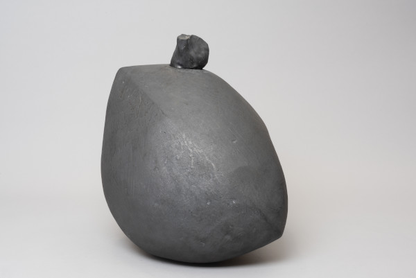 FDA-A.1063-2020-crC image FDA-A.1063-2020-crC