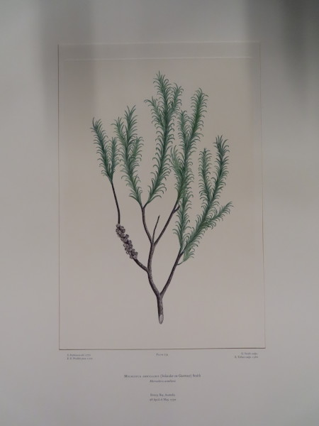 image FDA-E.2916_35_4-2016