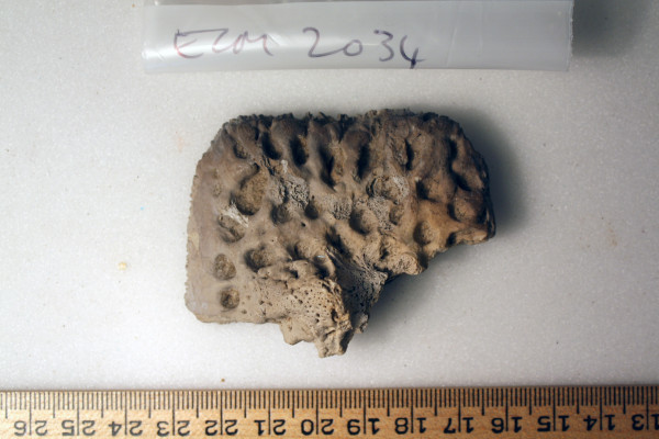 ECM.2034-2010-A image ECM.2034-2010-A