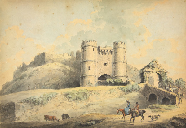 FDA-D.307-2010 image FDA-D.307-2010