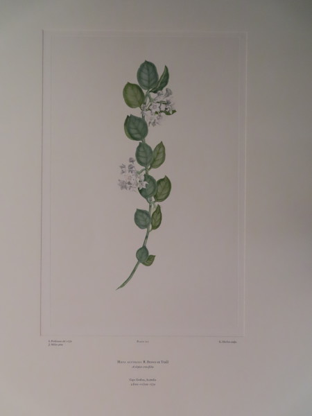 image FDA-E.2916_10_13-2016-A