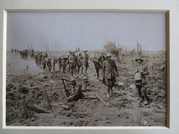 ECL-O.109-2014 image ECL-O.109-2014