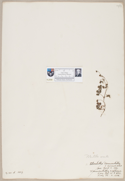 NHM_HH_13.38-2010 image NHM_HH_13.38-2010