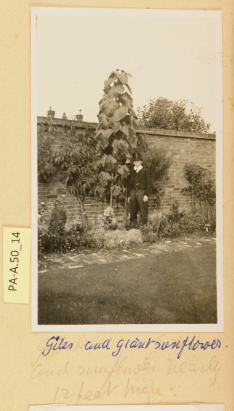 PA-A.50_14-2013 image PA-A.50_14-2013