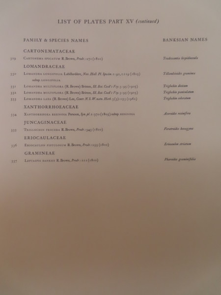 image FDA-E.2916_15_3-2016-A