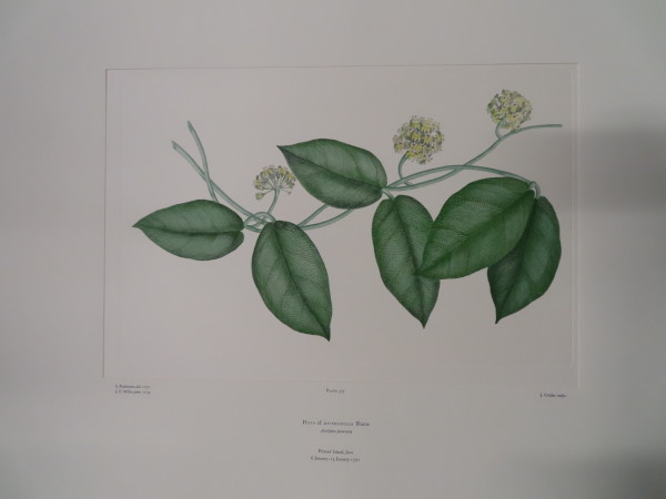 image FDA-E.2916_17_16-2016