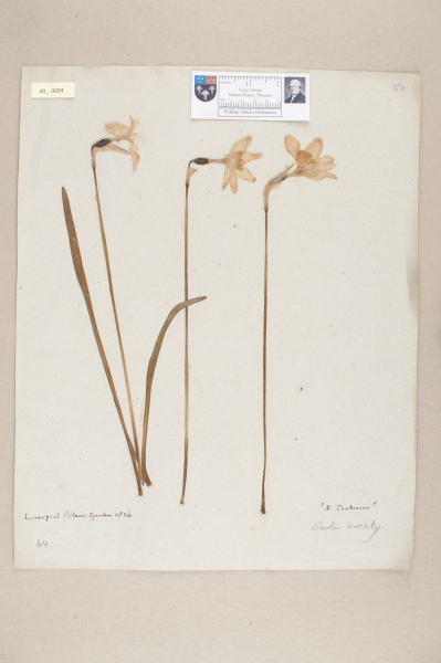 NHM_HH_44.4-2010 image NHM_HH_44.4-2010