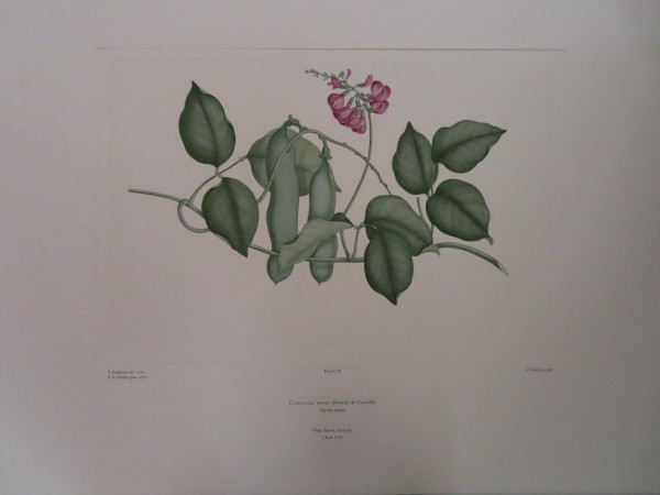 image FDA-E.2916_4_14-2016-A