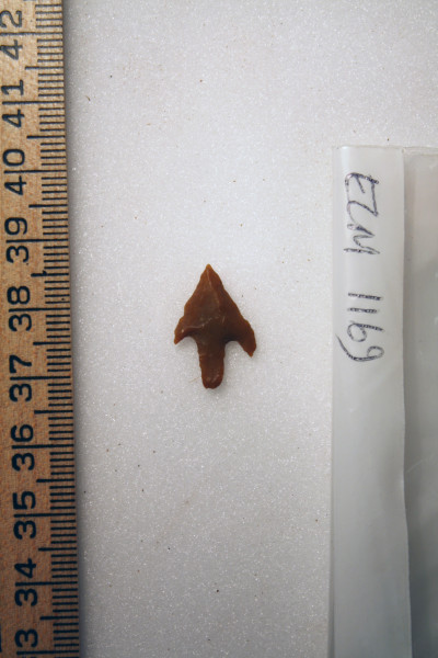 ECM.1169-2010-A image ECM.1169-2010-A