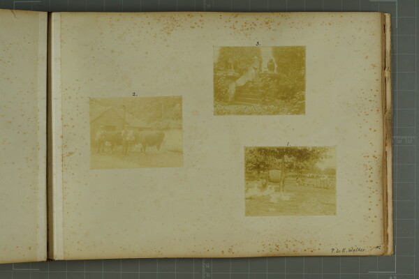 PA-A.81_55-2024 image PA-A.81_55-2024