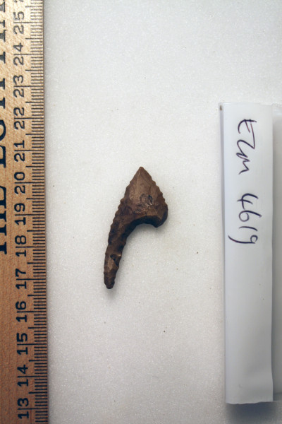 ECM.4619-2017-A image ECM.4619-2017-A