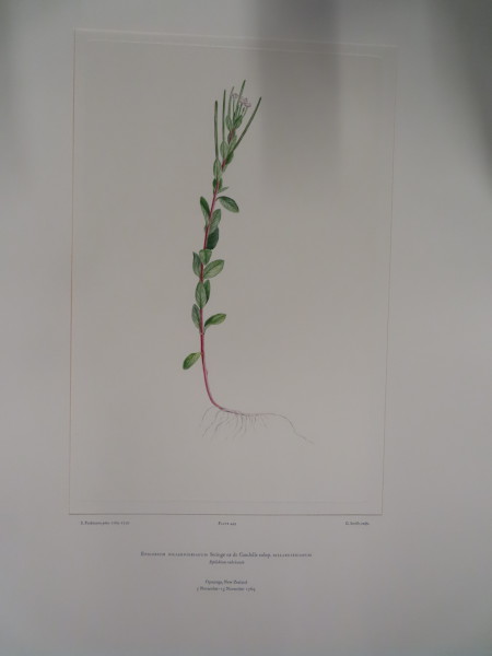 image FDA-E.2916_22_6-2016-A