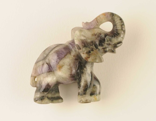 NHM-EE.101-2015 image NHM-EE.101-2015