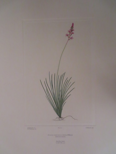 image FDA-E.2916_8_17-2016-A