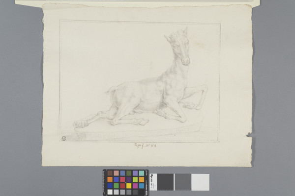 ECL-Bm.7_83-2013 image ECL-Bm.7_83-2013