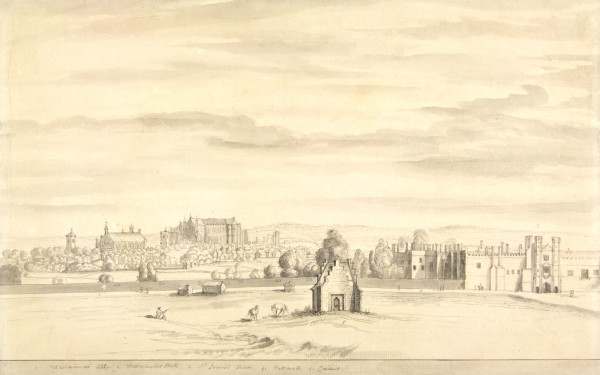 FDA-D.404-2010 image FDA-D.404-2010