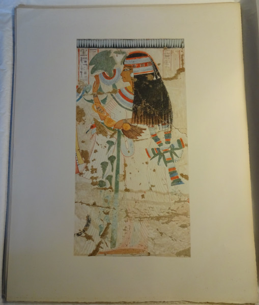 image FDA-E.3055_47-2018