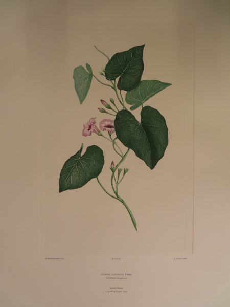 FDA-E.2916_30_5-2016 image FDA-E.2916_30_5-2016