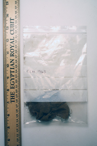 ECM.1943-2010-A image ECM.1943-2010-A