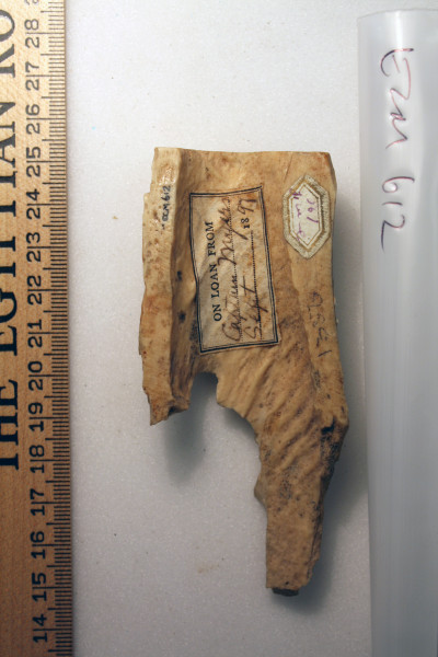 ECM.612-2010-B image ECM.612-2010-B