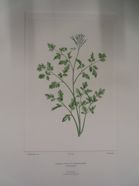 FDA-E.2916_32_8-2016 image FDA-E.2916_32_8-2016