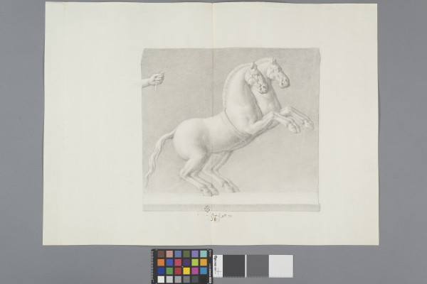 ECL-Bm.10_70-2013 image ECL-Bm.10_70-2013