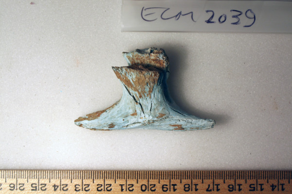 ECM.2039-2010-A image ECM.2039-2010-A