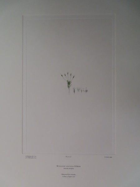 image FDA-E.2916_10_18-2016-A