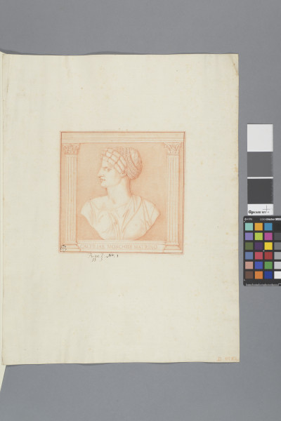 ECL-Bm.11_1-2013 image ECL-Bm.11_1-2013