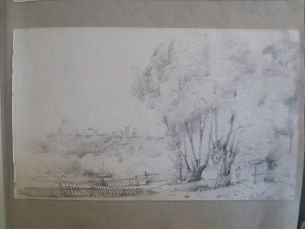 FDA-V.8-2016-X image FDA-V.8-2016-X