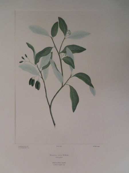 image FDA-E.2916_12_24-2016-A