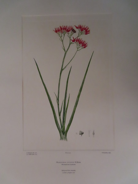 FDA-E.2916_15_9-2016-A image FDA-E.2916_15_9-2016-A