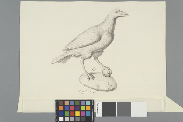 ECL-Bm.4_98-2012 image ECL-Bm.4_98-2012