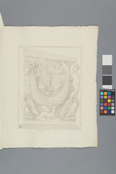 ECL-Bm.12_79-2013 image ECL-Bm.12_79-2013