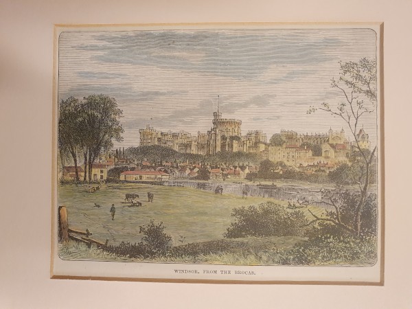 FDA-E.3256-2023-A image FDA-E.3256-2023-A