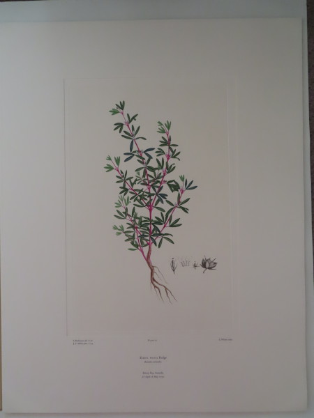 image FDA-E.2916_2_8-2016