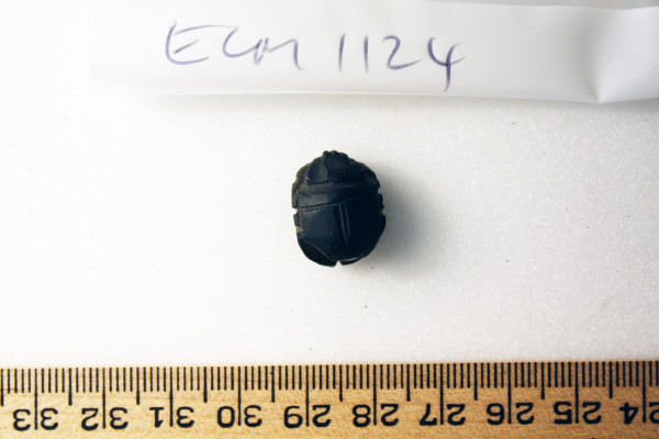 ECM.1124-2010-A image ECM.1124-2010-A