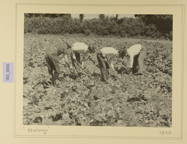 PA-A.1_55-2012 image PA-A.1_55-2012