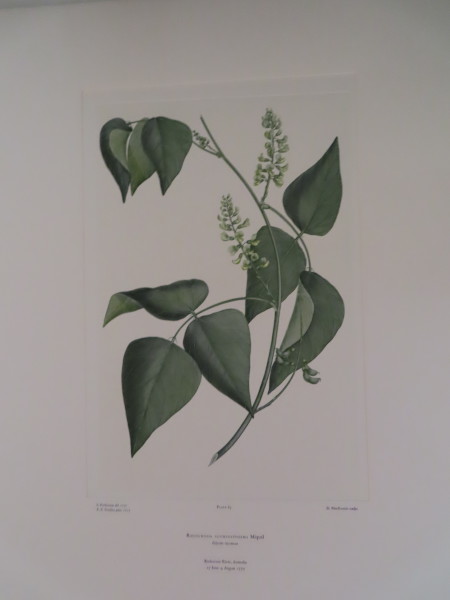 image FDA-E.2916_4_19-2016-A