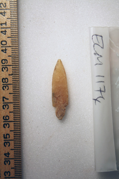 ECM.1174-2010-A image ECM.1174-2010-A