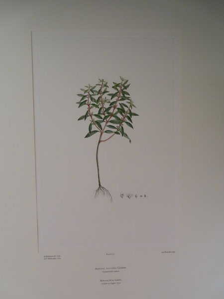 FDA-E.2916_6_22-2016 image FDA-E.2916_6_22-2016