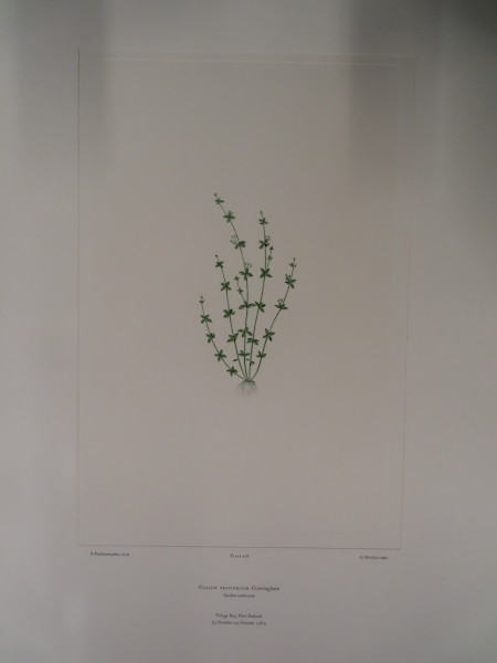 FDA-E.2916_23_10-2016 image FDA-E.2916_23_10-2016