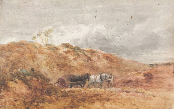 FDA-D.144-2010 image FDA-D.144-2010