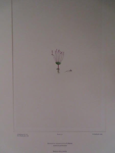 FDA-E.2916_8_21-2016 image FDA-E.2916_8_21-2016