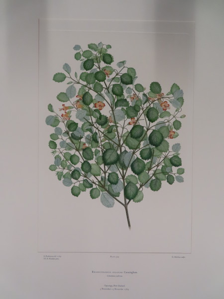 image FDA-E.2916_25_11-2016