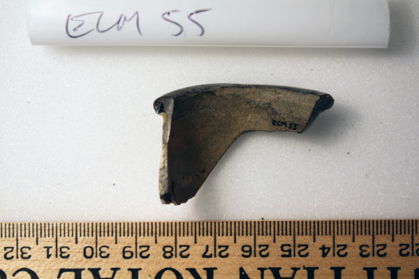 ECM.55-2010-B image ECM.55-2010-B