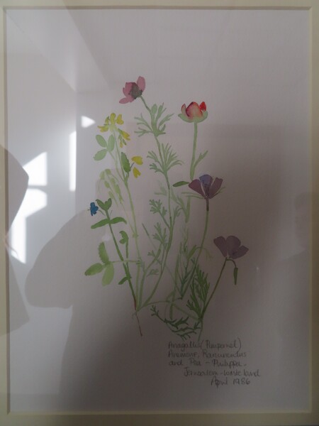 FDA-D.1789-2026-A image FDA-D.1789-2026-A