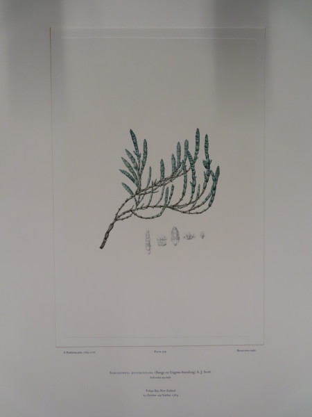 image FDA-E.2916_25_17-2016-A